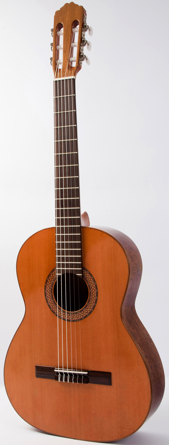 Raimundo 104B Cedar